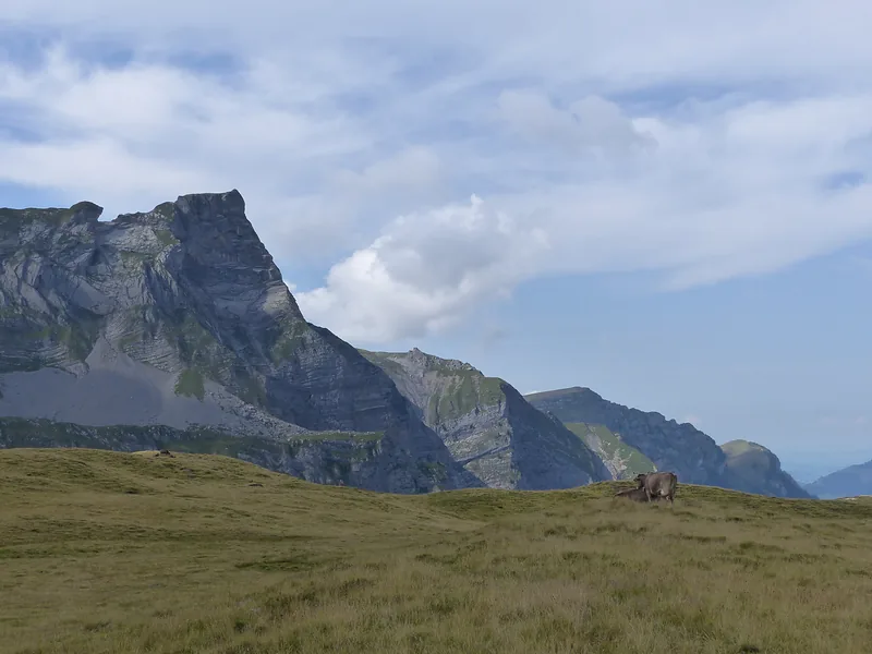 Rock face above a meadow with sheep